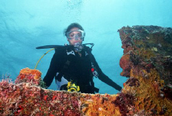 Angela's ( my daughters ) first wreck dive - Benwood, Key... by Michael Salcito 
